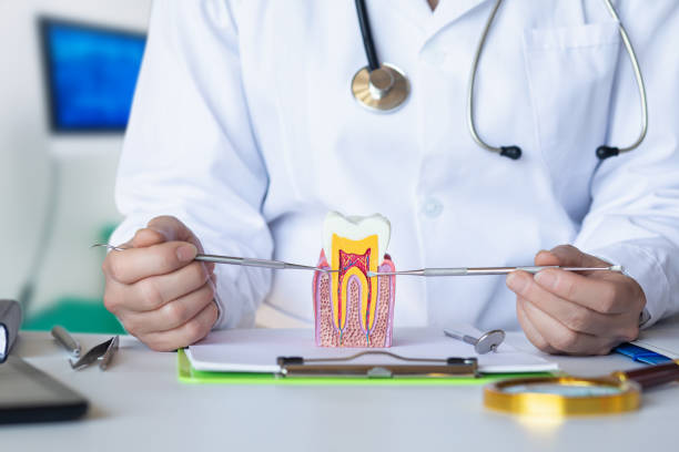 Best Emergency Treatment for Oral Infections in Chincoteague, VA